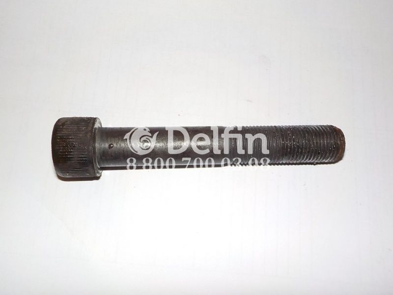06019090011 Болт ступицы под шестигранник М16X100 MAN