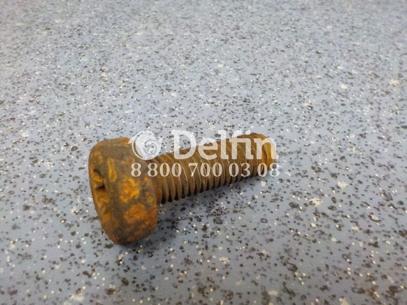 1663790 Винт M14x45 DAF