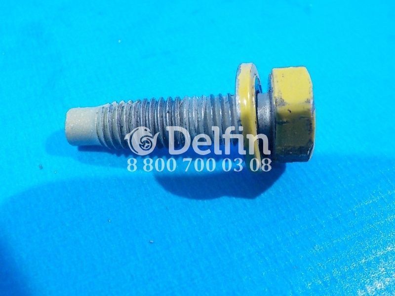 5003019057 Винт (петля двери) M63X0 Renault