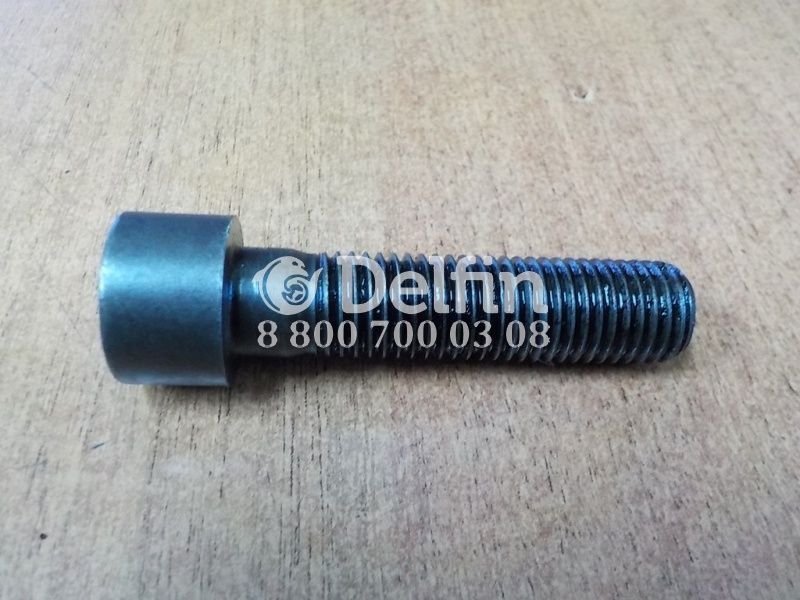 51900300071 Винт с цилиндрической головкой M14X1,75X58 (от двигателя D0824 LFL09) MAN LE