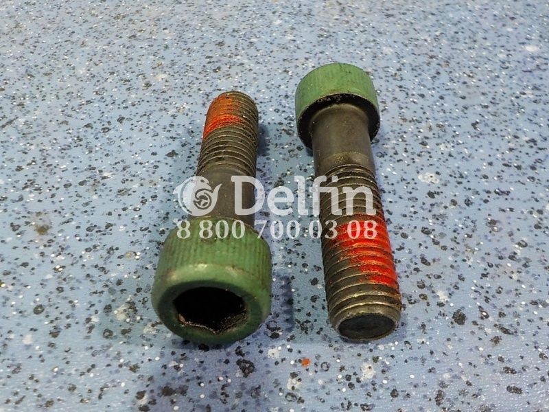 500023240 Болт с внутренним шестигранником (подъёмная проушина) M14x2x55 Volvo